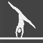 Gimnasia Artística