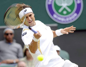 David Ferrer